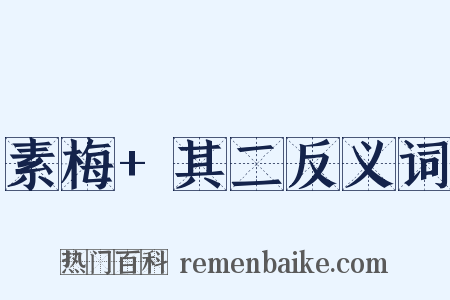 素梅+其二反义词是什么意思的图片